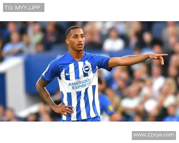 布莱顿与狼队英超对决前瞻分析及比赛预测